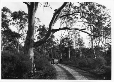 Photograph - B/W, C 1960s (?)