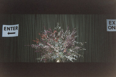 Photograph - Coloured, C 1997