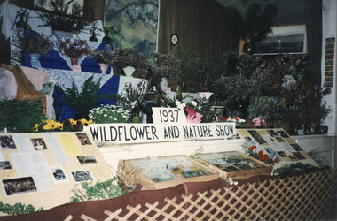 Photograph - Coloured, C 1996