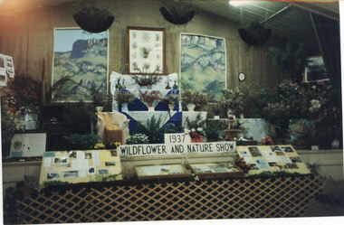 Photograph - Coloured, C 1996