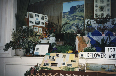 Photograph - Coloured, C 1996