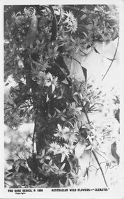 Postcard - B/W