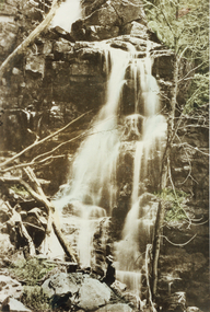 Photograph - Coloured
