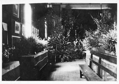 Photograph - B/W, C 1938