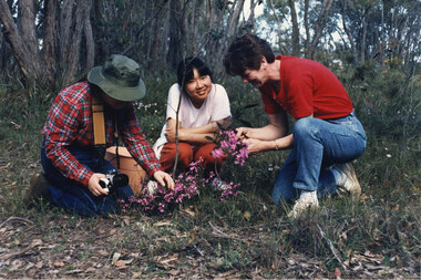 Photograph - Coloured, C September 1989