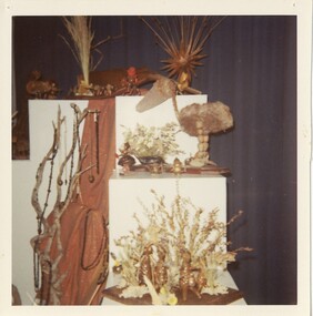 Photograph - Coloured, C 1996