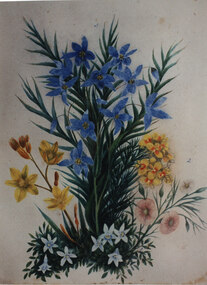 Photograph - Coloured, C 1886