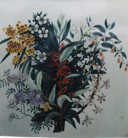 Photograph - Coloured, C 1886