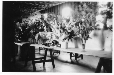 Photograph - B/W, C 1959