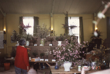 Photograph - Coloured, 27/09/1985