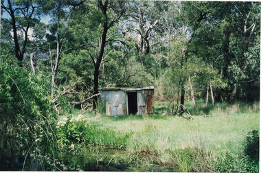 Photograph - Coloured, C 1993
