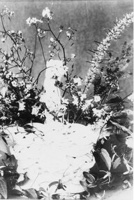 Photograph - B/W
