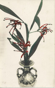 Postcard - Coloured