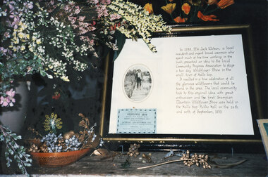Photograph - Coloured