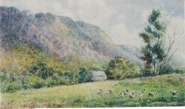 Photograph - Coloured