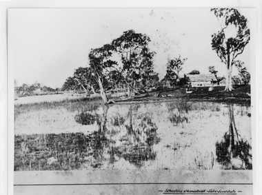 Photograph - B/W, c 1869