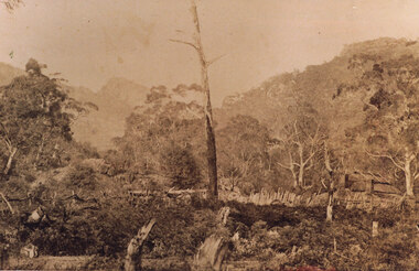 Photograph - Sepia, c 1876
