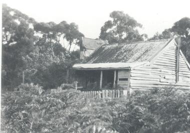 Photograph - B/W, After 1900