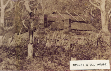 Photograph - Sepia, C 1876