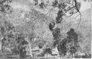 Photograph - B/W, C 1876
