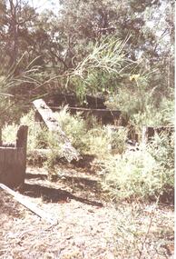 Photograph - Coloured