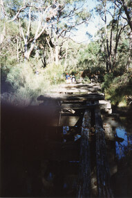 Photograph - Coloured, C 1980s