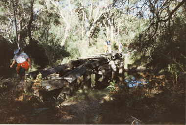 Photograph - Coloured, C 1980s