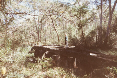 Photograph - Coloured, C 1980s