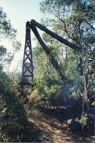 Photograph - Coloured, C 1980s