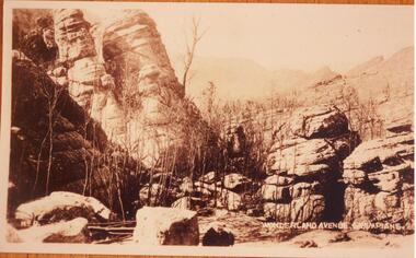 Photograph - Sepia