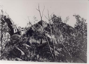Photograph - B/W