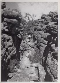 Photograph - B/W, C 1960s