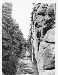 Photograph - B/W, C 1960s