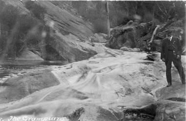 Photograph - Sepia, C 1920s
