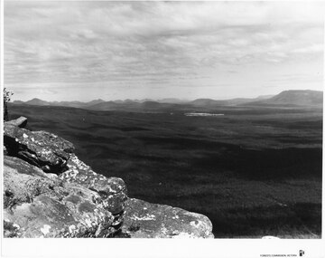 Photograph - B/W