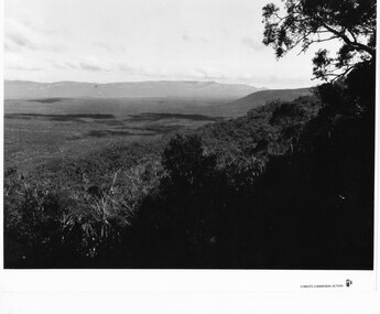 Photograph - B/W
