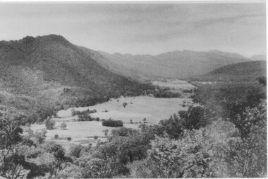 Photograph, C 1940 -50s
