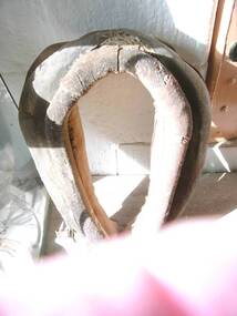 Horse Collar