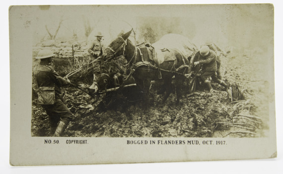 No. 50 Bogged In Flanders Mud, Oct. 1917