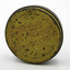 Round Log Cabin tobacco tin