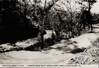 Photograph of a Rose Series Postcard