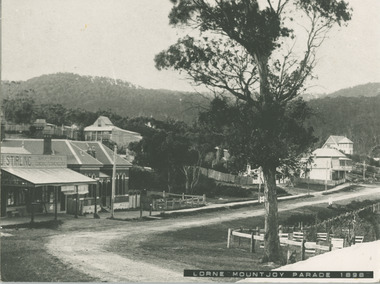 Photograph, Mountjoy Parade Streetscape 1898