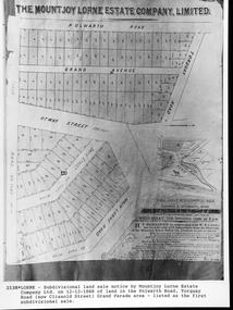 Map, F W Niven Lithos, The Mountjoy Lorne Estate, 1889