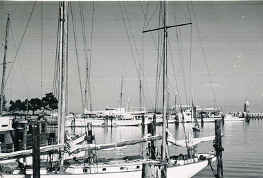 Photograph - Photograph, Black and white, Allan Charles Quinn, Moored in San Francisco, 30 September 1949