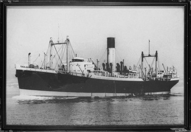 Photograph - Photograph, Black and white, S.S. Diomed, unknown