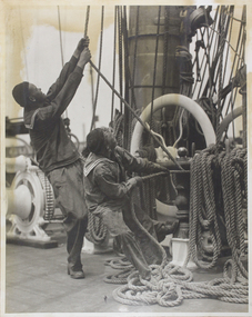 Photograph - Photograph, Black and white, McIlwraith & McEwan, Early 20th Century