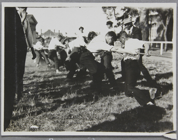 Photograph