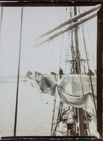 Photograph - Photograph, Sepia, Alfred Gurney Goldsmith, c. 1910