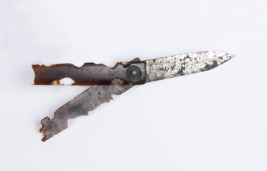 Functional object - Thumb lancet