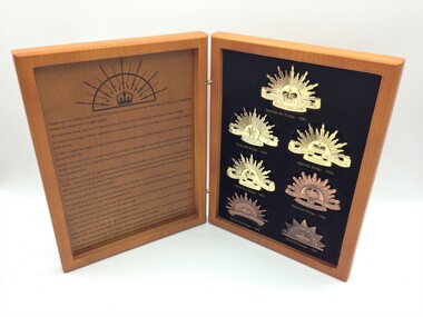 Badge - AMF Rising Sun Hat Badge Collection